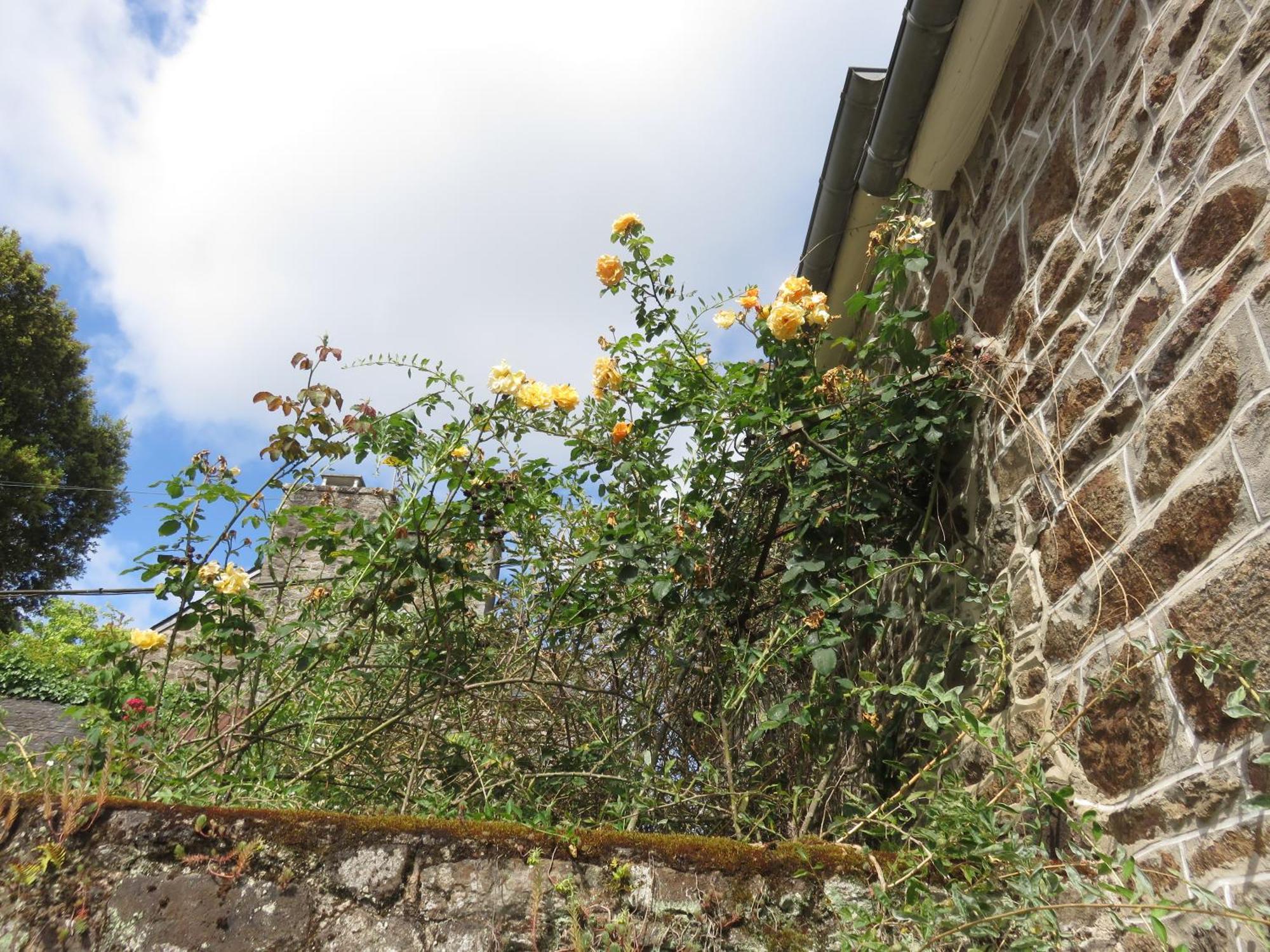 Le Jardin A Mordreuc Bed & Breakfast Pleudihen-sur-Rance Bagian luar foto